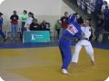 IMG 8017