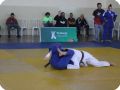 IMG 8029