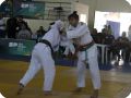 IMG 8033