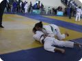 IMG 8036