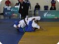IMG 8052