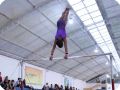 IMG 1947