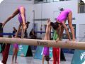 IMG 0602