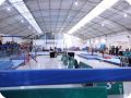 IMG 1849