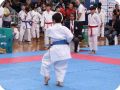 IMG 8995
