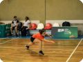 IMG 8454