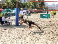 IMG 0125