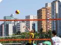 IMG 0256