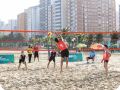 IMG 0849