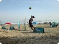 IMG 0926
